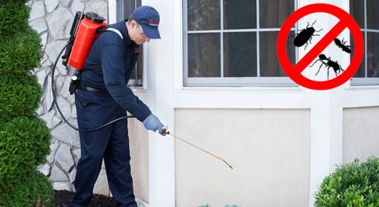 Çağlayancerit Haşere İlaçlama böcek ilaçlama ve haşere kontrolü — ilaclama-tr.com